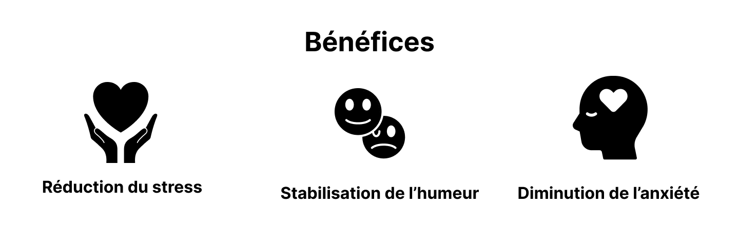 Bénéfices du complément alimentaire pour le calme Papills : réduction du stress, stabilisation de l'humeur, diminution de l'anxiété