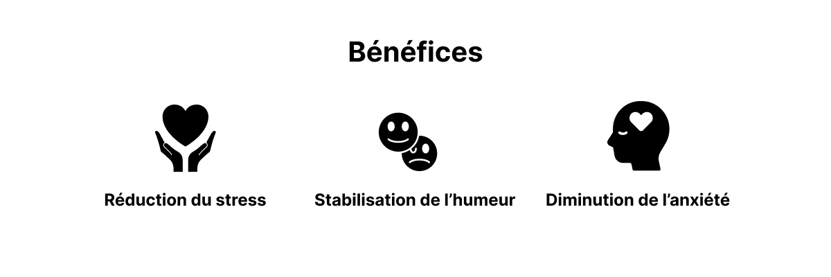 Bénéfices du complément alimentaire pour le calme Papills : réduction du stress, stabilisation de l'humeur, diminution de l'anxiété