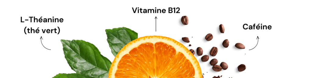 L-Théanine, Caféine, Vitamine B12