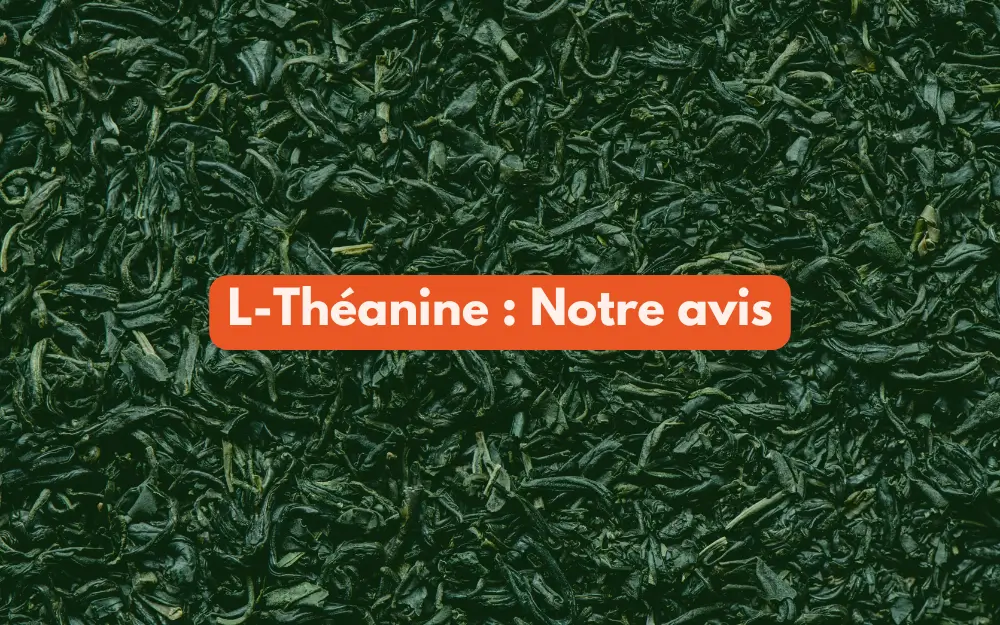 feuilles de l théanine ou thé vert