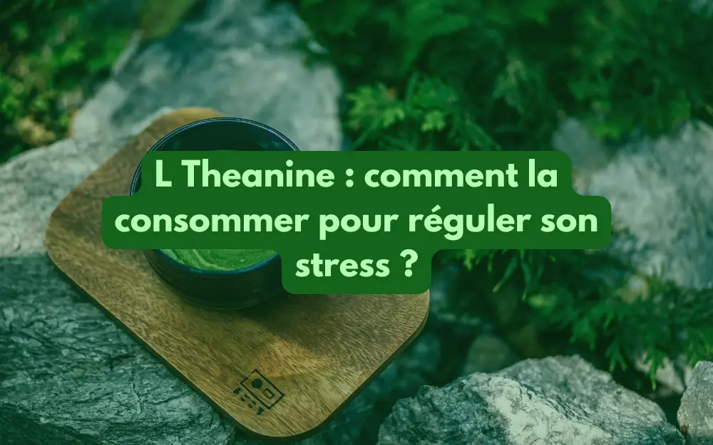 l théanine ou thé vert pour réduire le stress