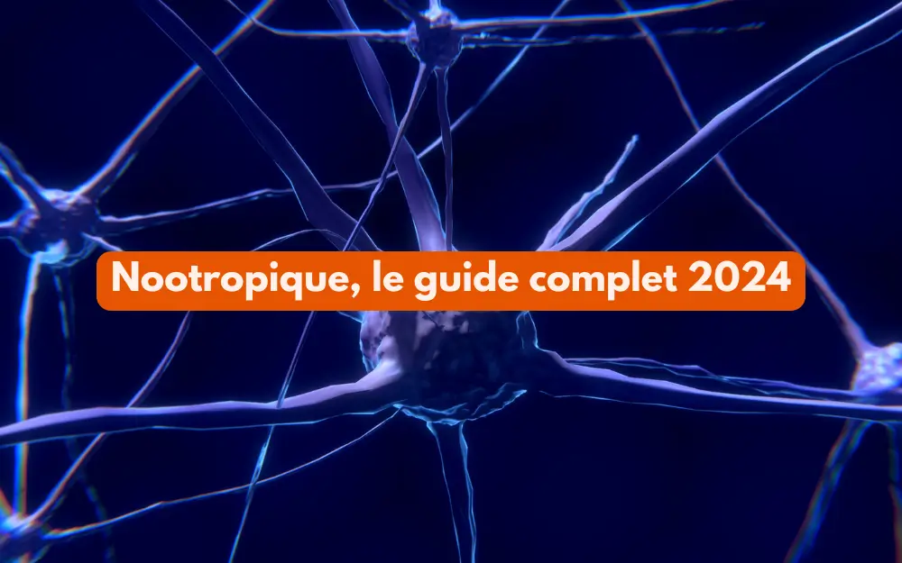 synapse du cerveau amélioré grâce aux nootropiques